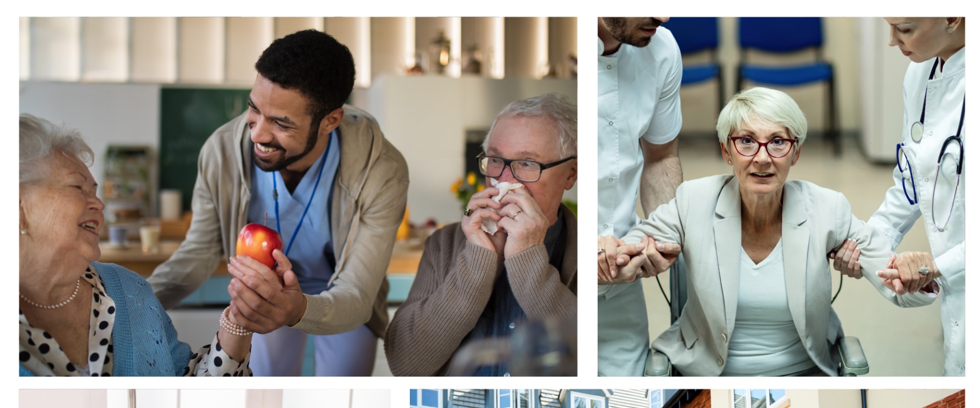 What are the 4 types of caregivers?